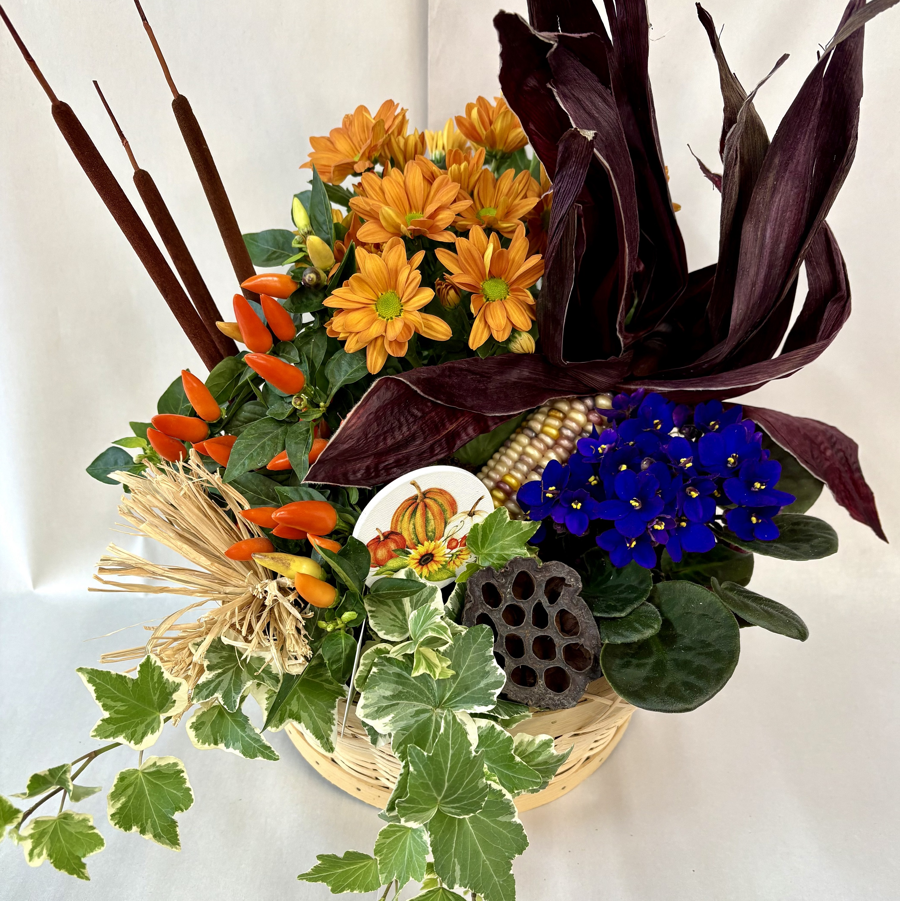 Thanksgiving Fiesta (PB25-01)