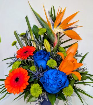 Bird Bold Blue (FA25-22)