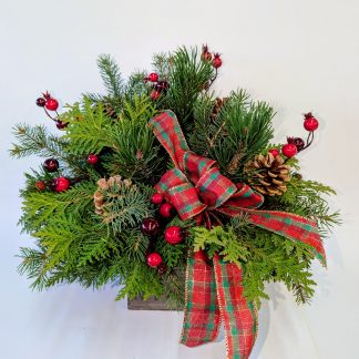 Evergreen Forest (XM25-01)