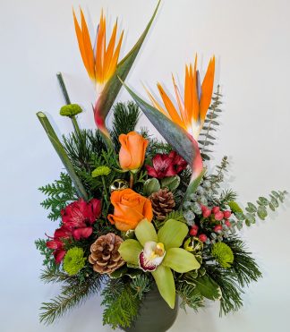 Christmas Paradise (XM25-04)