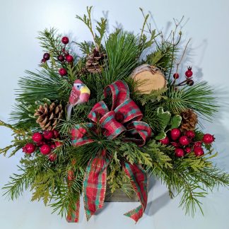 Evergreen Forest (XM25-101)