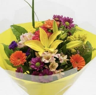 Easter Sunshine (CF26-40E)