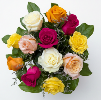 DOZEN Mixed Colour Rose Bouquet (CF26-RSC12)