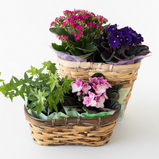Duet Planter (SW26-02)