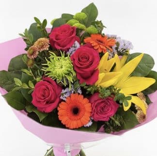 Summer Cheer (CF26-01)